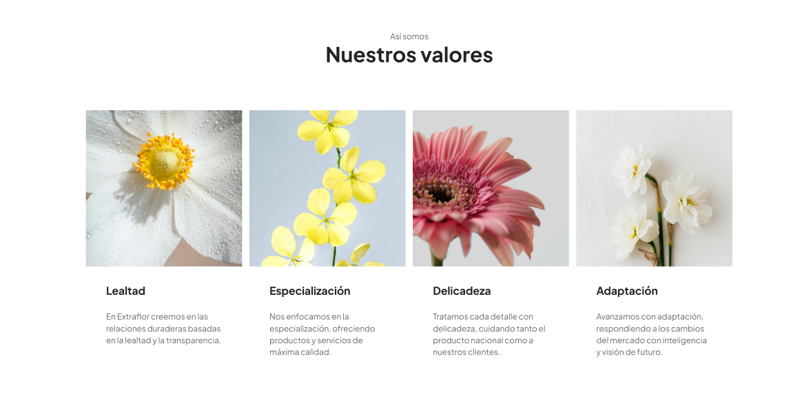 Bloque Valores